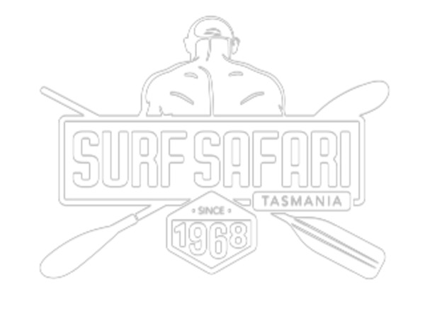 surf safari 2022
